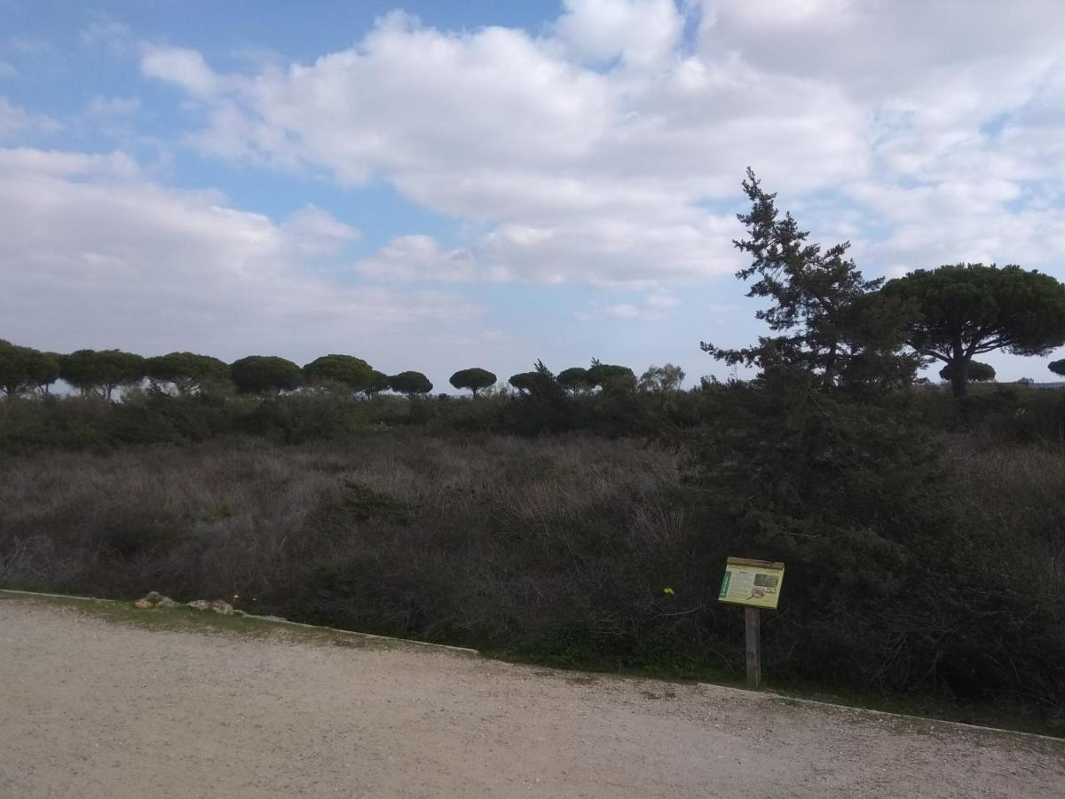 Tu Denscanso En Valdelagrana Frente Al Mar El Puerto de Santa María Zewnętrze zdjęcie