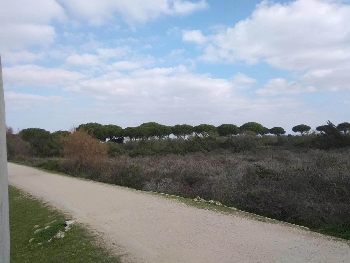 Tu Denscanso En Valdelagrana Frente Al Mar El Puerto de Santa María Zewnętrze zdjęcie